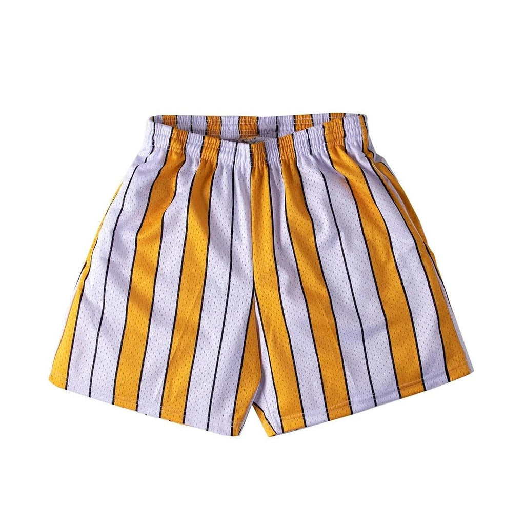 Men's Quick-Dry Mesh Shorts
